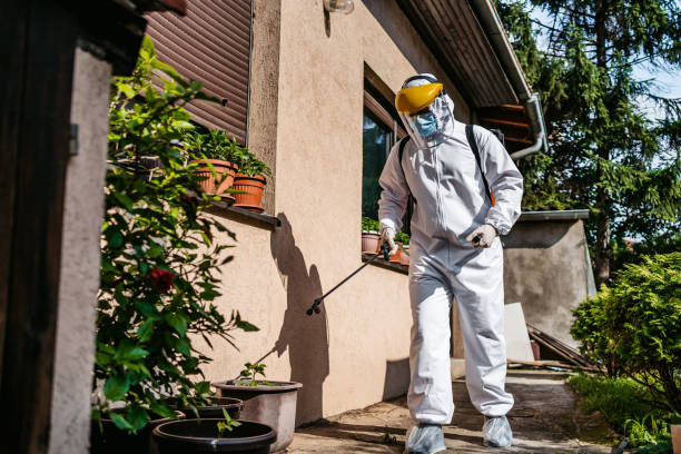 Best Pest Control Treatment  in South Lebanon, OH